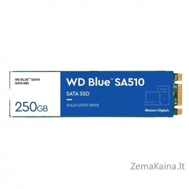 Western Digital Blue SA510 M.2 250 GB „Serial ATA III“ 5