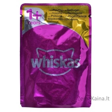 Whiskas Chicken stew Jelly 40 x 85 g 4