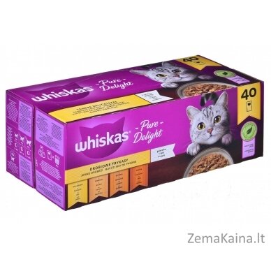 Whiskas Chicken stew Jelly 40 x 85 g 1